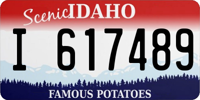 ID license plate I617489