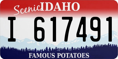 ID license plate I617491
