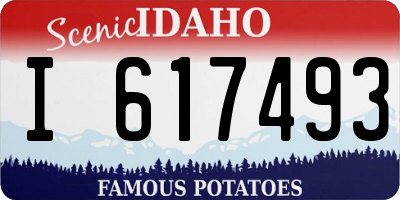 ID license plate I617493