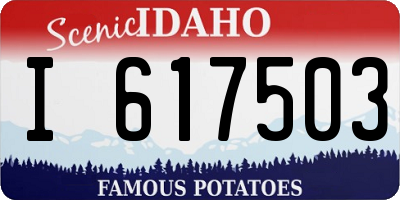 ID license plate I617503