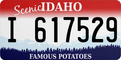 ID license plate I617529