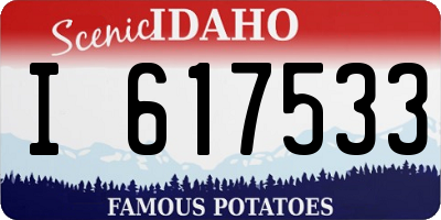 ID license plate I617533