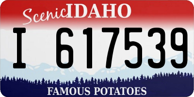 ID license plate I617539