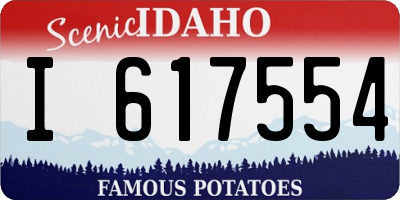 ID license plate I617554