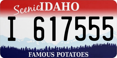 ID license plate I617555