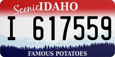 ID license plate I617559
