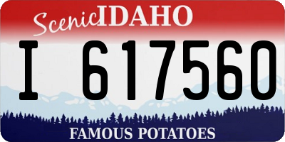 ID license plate I617560