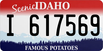 ID license plate I617569