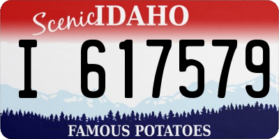 ID license plate I617579