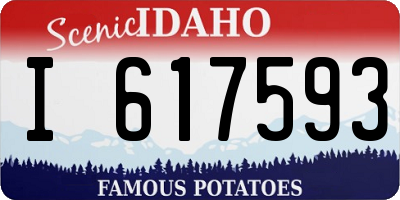 ID license plate I617593