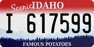 ID license plate I617599