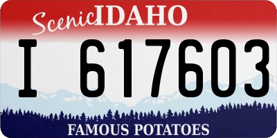 ID license plate I617603