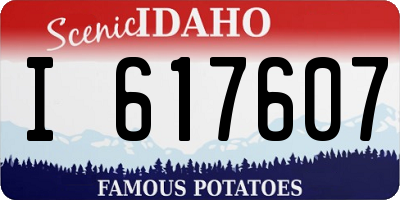 ID license plate I617607