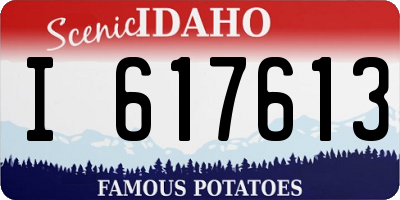 ID license plate I617613