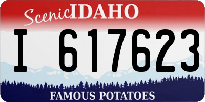 ID license plate I617623