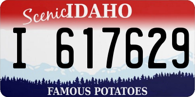 ID license plate I617629
