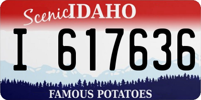 ID license plate I617636