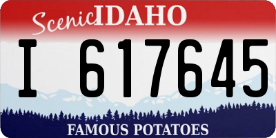 ID license plate I617645