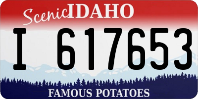 ID license plate I617653