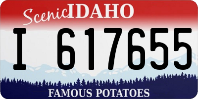 ID license plate I617655