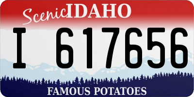 ID license plate I617656