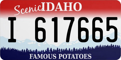 ID license plate I617665