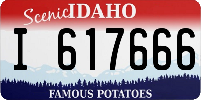 ID license plate I617666