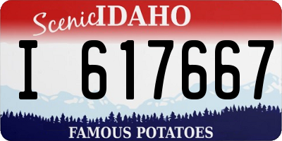 ID license plate I617667