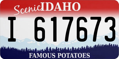 ID license plate I617673