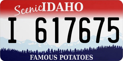 ID license plate I617675