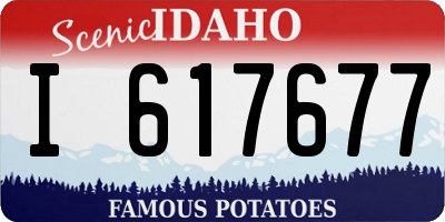 ID license plate I617677