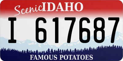 ID license plate I617687