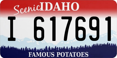 ID license plate I617691