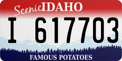 ID license plate I617703