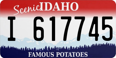 ID license plate I617745
