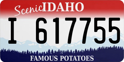 ID license plate I617755