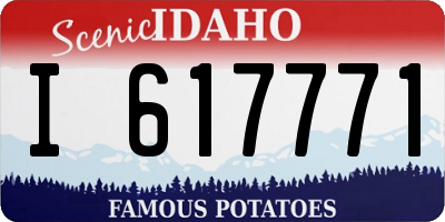 ID license plate I617771
