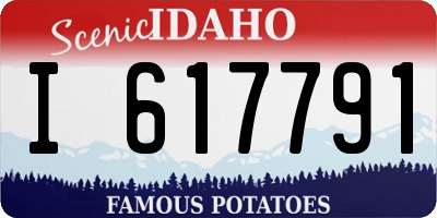 ID license plate I617791