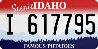 ID license plate I617795