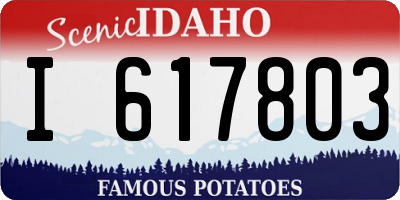 ID license plate I617803