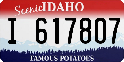ID license plate I617807