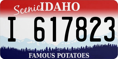 ID license plate I617823