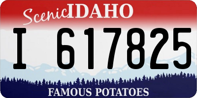 ID license plate I617825