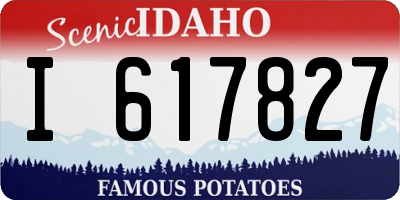 ID license plate I617827