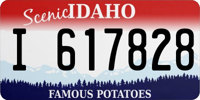ID license plate I617828