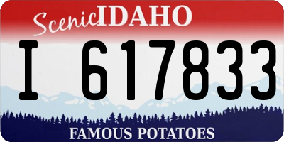 ID license plate I617833