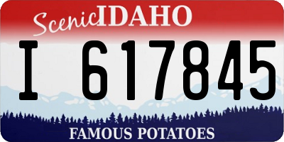 ID license plate I617845