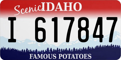ID license plate I617847