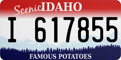 ID license plate I617855