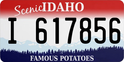 ID license plate I617856